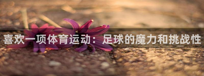 oety欧亿体育官网下载娱乐:喜欢一项体育运动:足球的魔力和